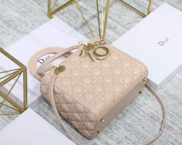 D10r Lady Light Pink Handbag With Gold Hardware 24CM