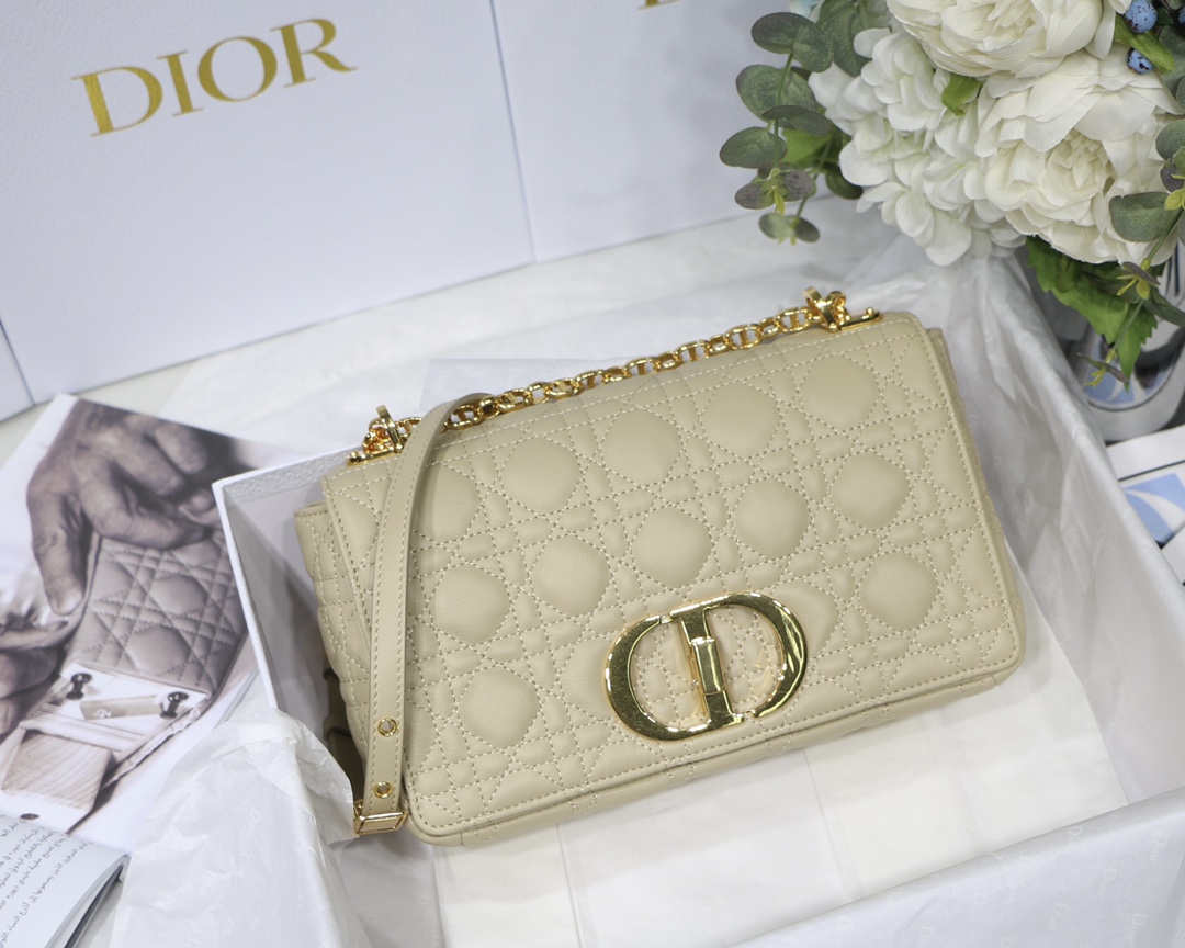 D10r Caro bag 25.5cm
