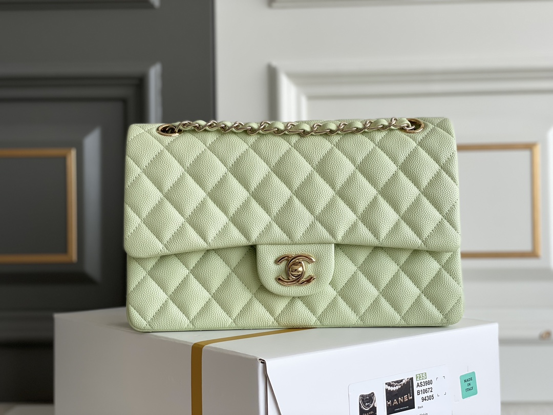 Bagsaaa Ch**el Classic Flap Small Bag in Light Green - 25cm